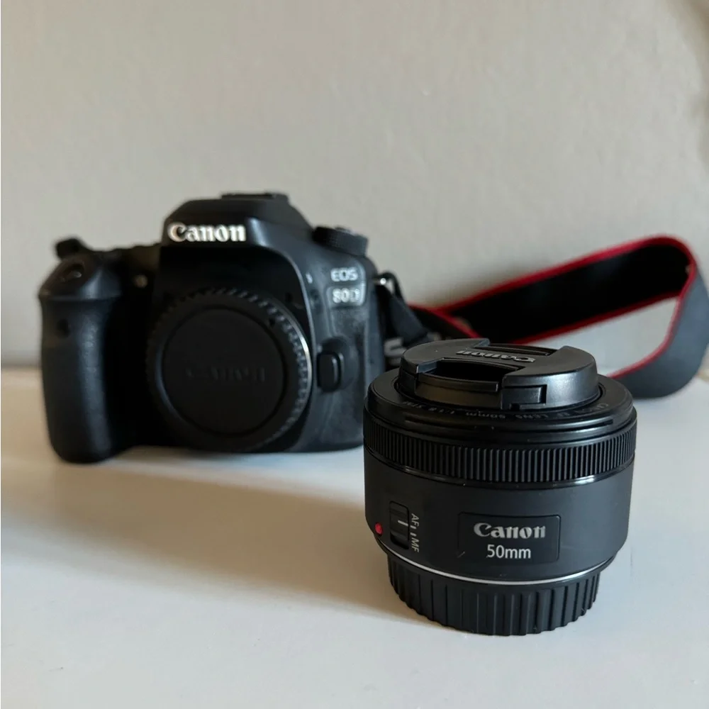 Canon EOS 80D, With Lenses and accessories